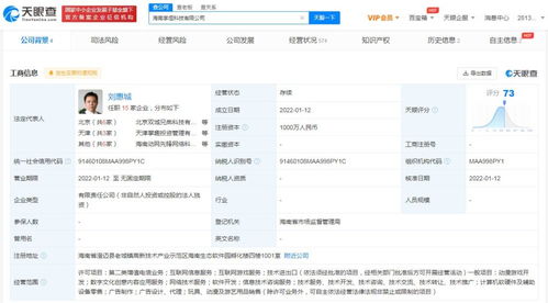 互聯網游戲服務 連接、沉浸與變革